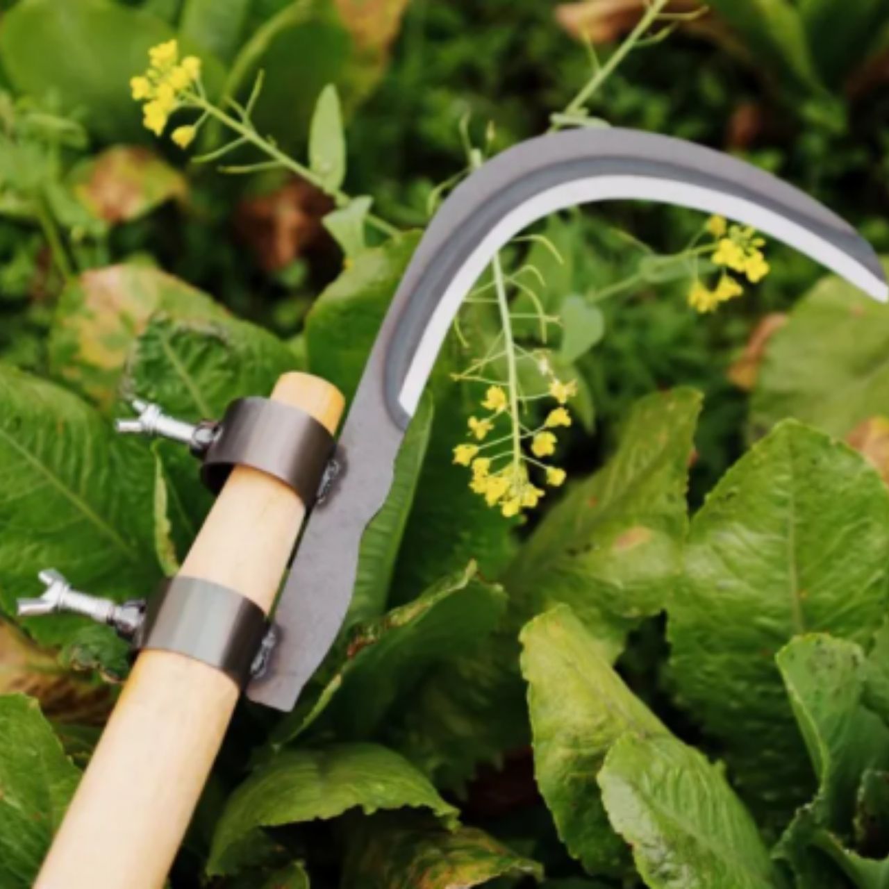 AgroTool, Taglia Rami, Erbacce, Spine e Vegetazione - Image 10