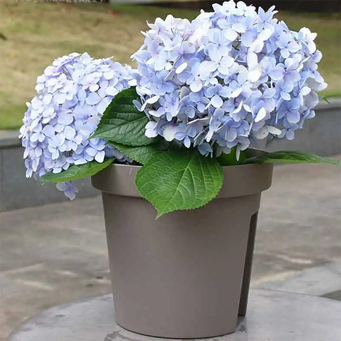 BalconyPots, vasi per fiori da balcone (2 pezzi) - Image 4