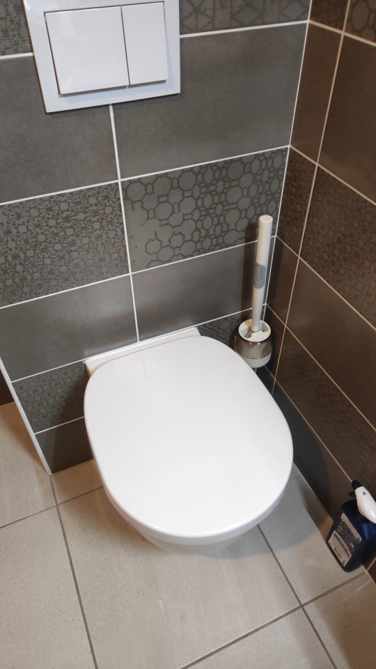 BestBrush, la spazzola per WC rivoluzionaria con un pulsante per erogare il detergente - Image 10