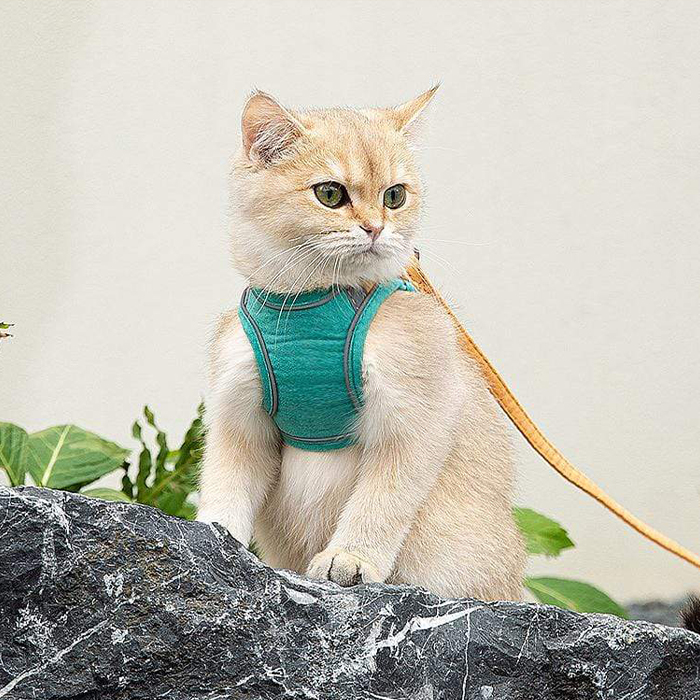 CatVest, un guinzaglio con pettorina per gatti - Image 3