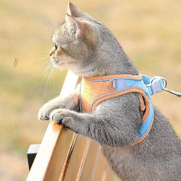 CatVest, un guinzaglio con pettorina per gatti - Image 4