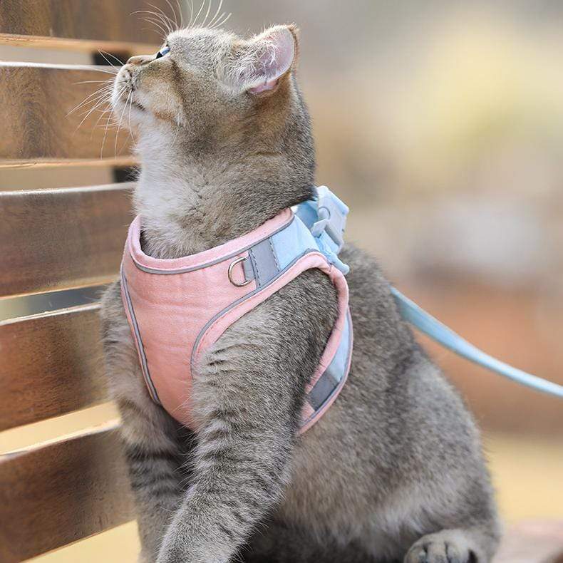 CatVest, un guinzaglio con pettorina per gatti - Image 5