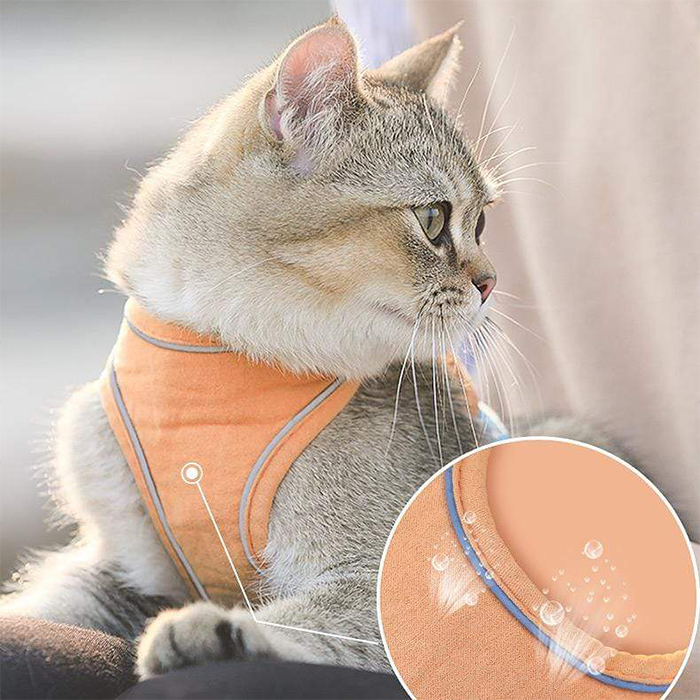 CatVest, un guinzaglio con pettorina per gatti - Image 9