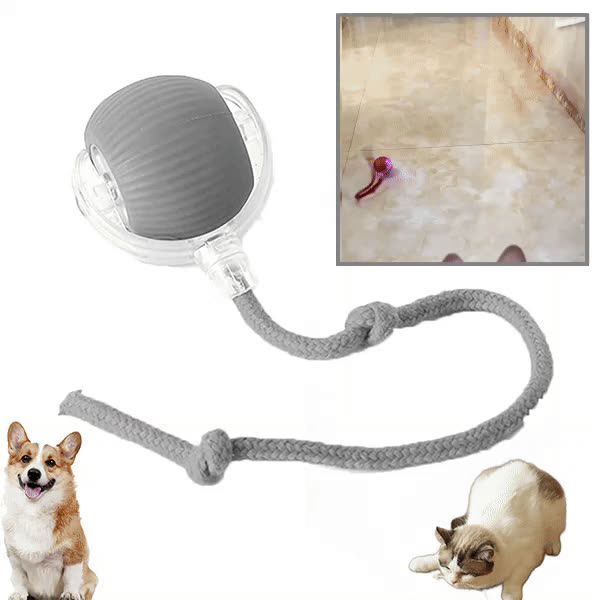 DOGTOY, ChewiePlay pallina interattiva - video