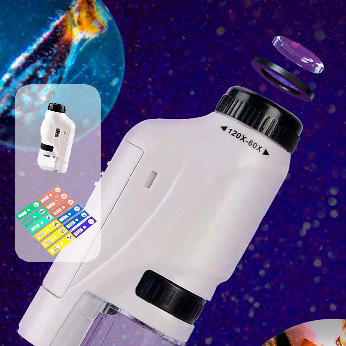 DiscoverBundle, microscopio portatile per bambini + set di 12 piastre di osservazione - Image 5