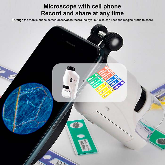 Il microscopio portatile è un'ottima scelta per imparare sul micro mondo, con ingrandimenti da 60x a 120x!