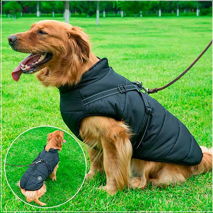 DogJacket, un giubbottino invernale per cani, riflettente e impermeabile - Image 10