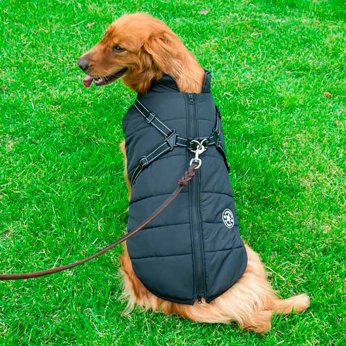 DogJacket, un giubbottino invernale per cani, riflettente e impermeabile - Image 11