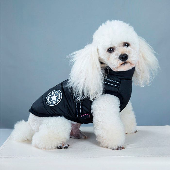 DogJacket, un giubbottino invernale per cani, riflettente e impermeabile - Image 15