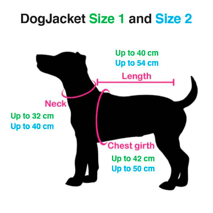 DogJacket, un giubbottino invernale per cani, riflettente e impermeabile - Image 16