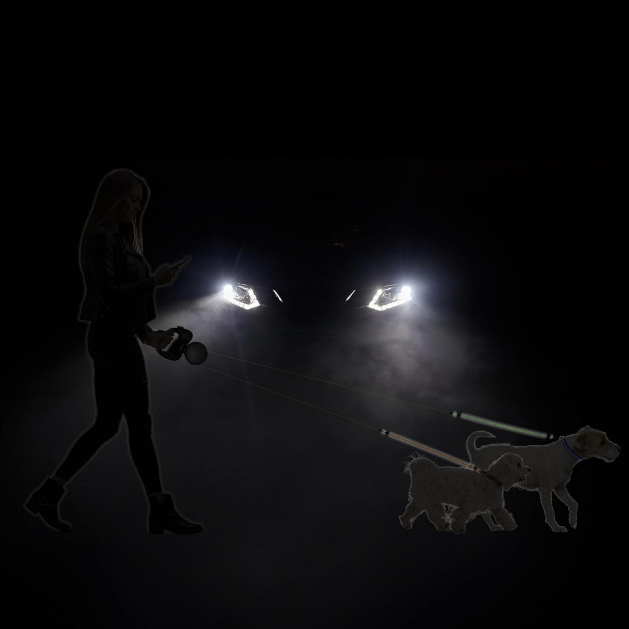 DoubleLeash, guinzaglio retrattile per due cani - Image 10