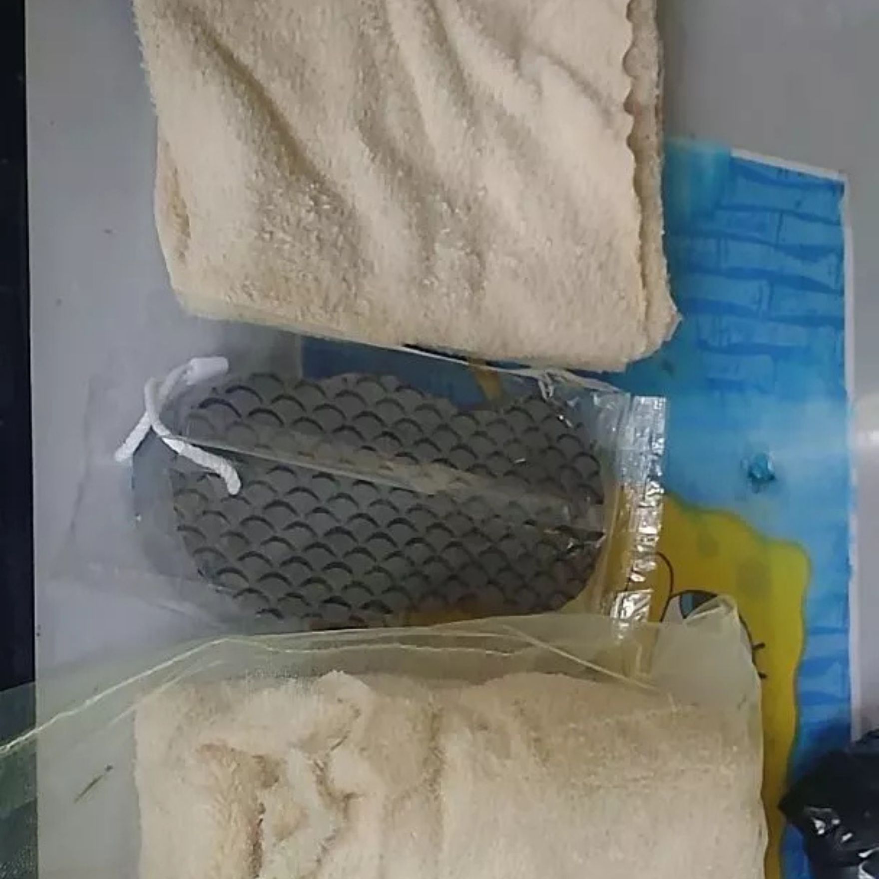 ExfoSponge, spugna esfoliante per la pelle - Image 7