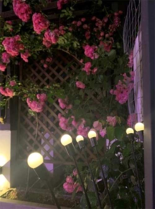 FireflyLights, una lampada da giardino solare a 6 luci - Image 10