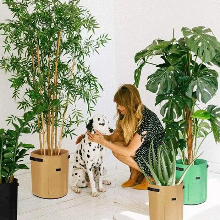 FoldingGarden, vaso da giardinaggio in tessuto portatile da 26 litri - Image 3