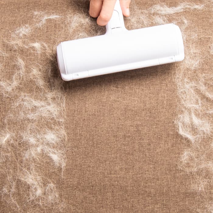 FurRemover, un rullo rimuovi pelo riutilizzabile - Image 10
