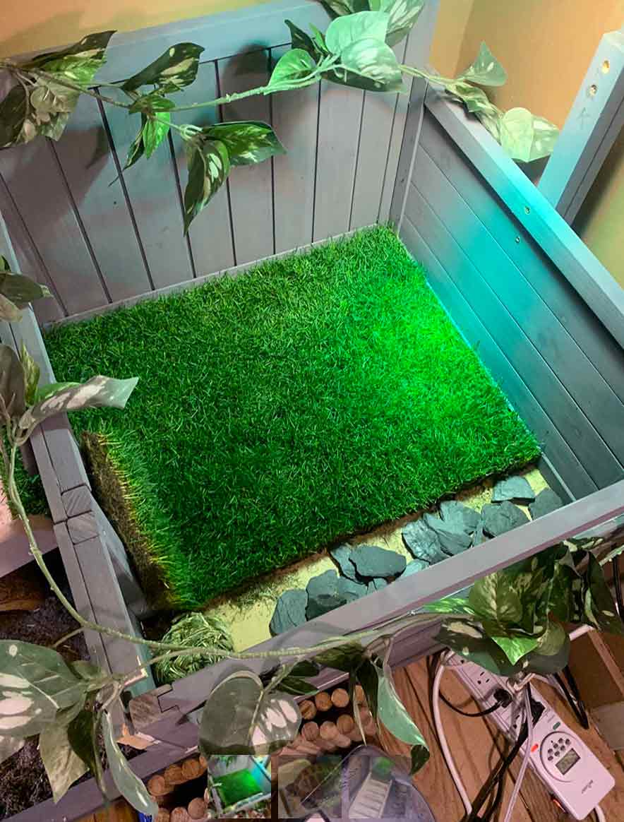GrassMat, un tappeto dall'aspetto di erba naturale - Image 10