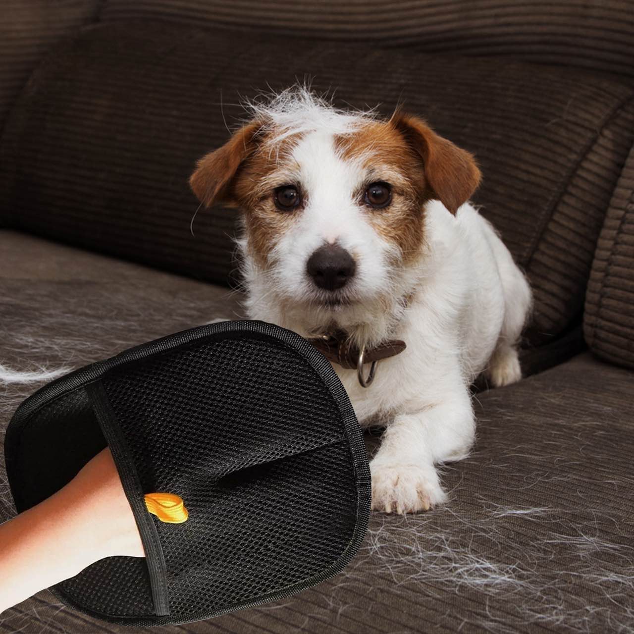 GroomyGlove, guanto per la toelettatura degli animali a doppia faccia - Image 8