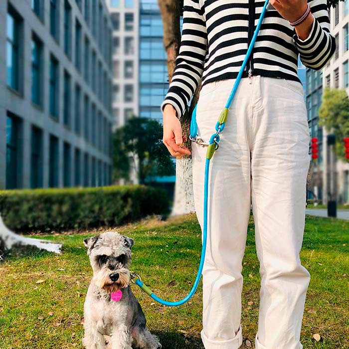 HandsFree, guinzaglio per portare a spasso il cane a mani libere - Image 6