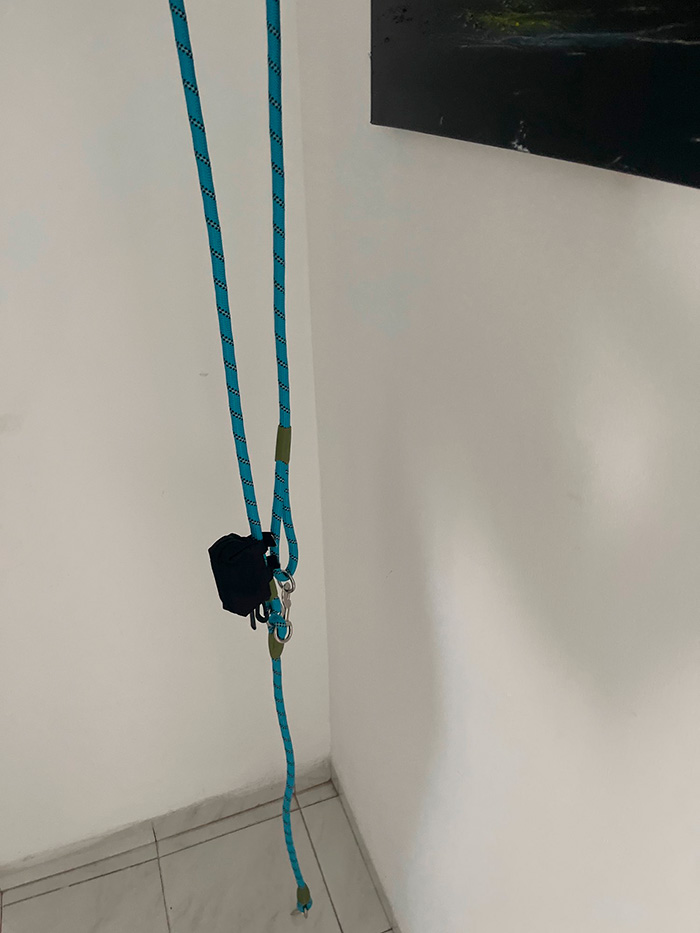 HandsFree, guinzaglio per portare a spasso il cane a mani libere - Image 10