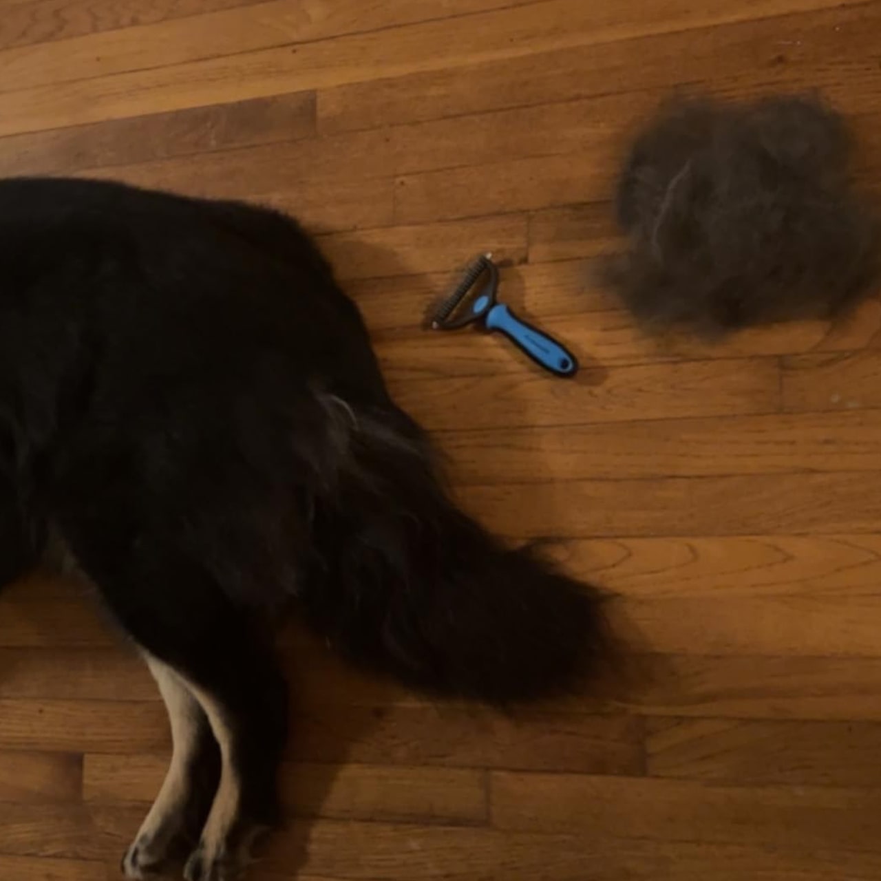 KnotBundle, tagliapeli per animali domestici (1+1 GRATIS) e spazzola DUO per rimuovere i peli degli animali domestici - Image 2