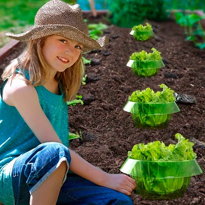 LettuceProtect, protezione per lattuga e altre colture (10 pezzi) - Image 7