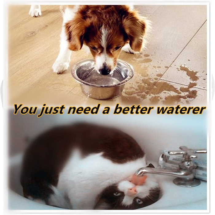 NoSplashBowl, la ciotola per bere del cane - Image 6