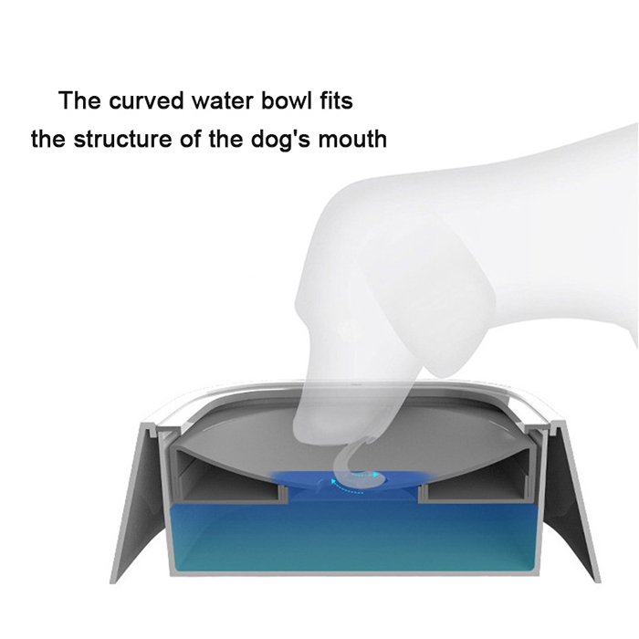 NoSplashBowl, la ciotola per bere del cane - Image 8
