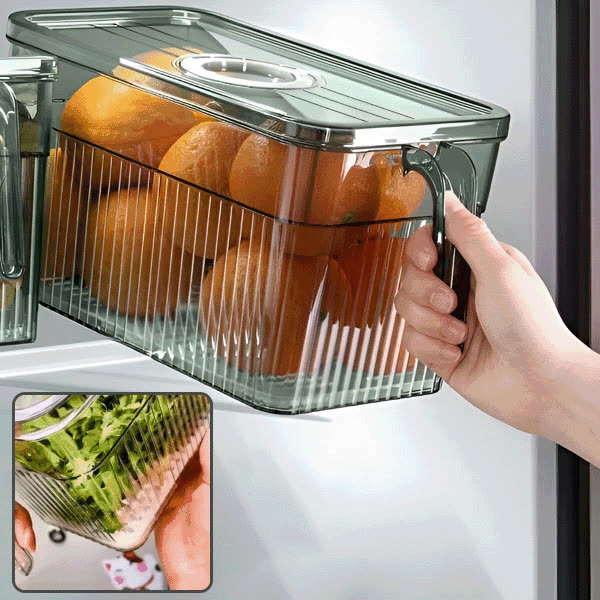 ORGADISH-TST, Organizzatore trasparente per alimenti - video