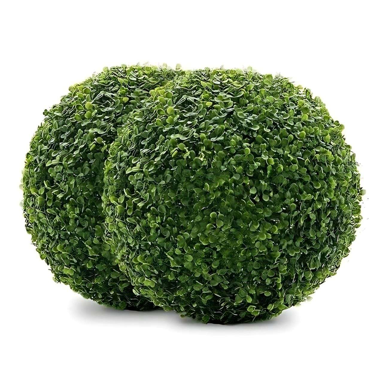 Orby, la sfera di piante artificiali - Image 8