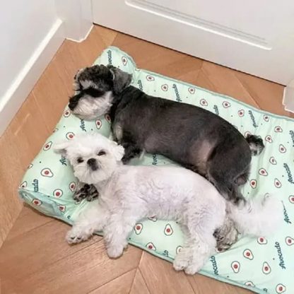 PETBED-TST-PLV, Letto refrigerante per cani CoolCore - Image 4