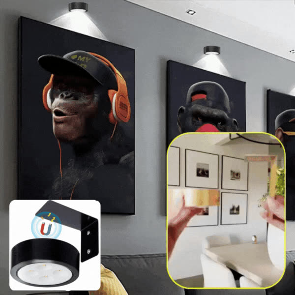 PICTURELAMP, Lampada a LED per l'illuminazione delle immagini - video