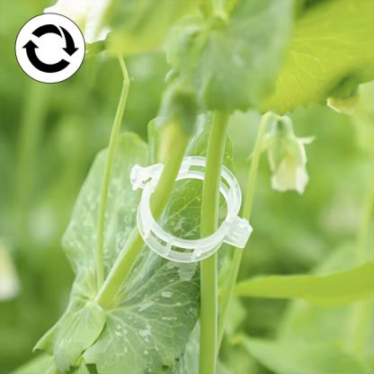 PLANTCLIP, GreenGrow Supporto per Piante - 60 Clip - Image 4