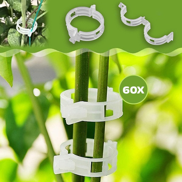 PLANTCLIP, GreenGrow Supporto per Piante - 60 Clip - Image 5