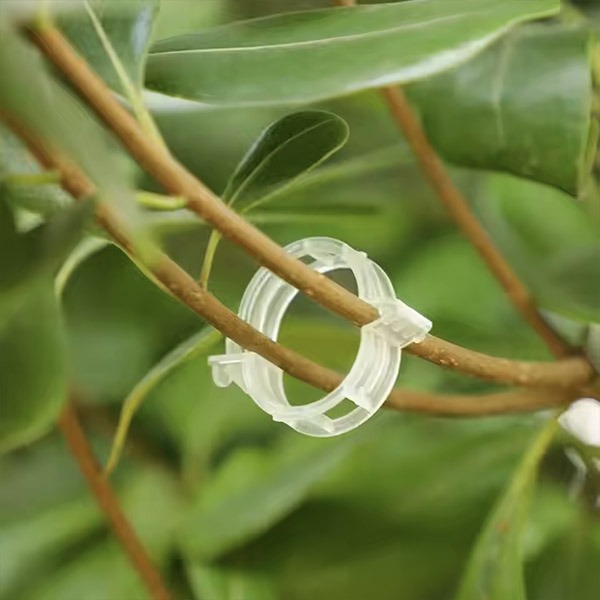 PLANTCLIP, GreenGrow Supporto per Piante - 60 Clip - Image 6