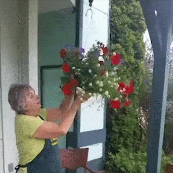 PULLEY, Gancio per appendere piante - video