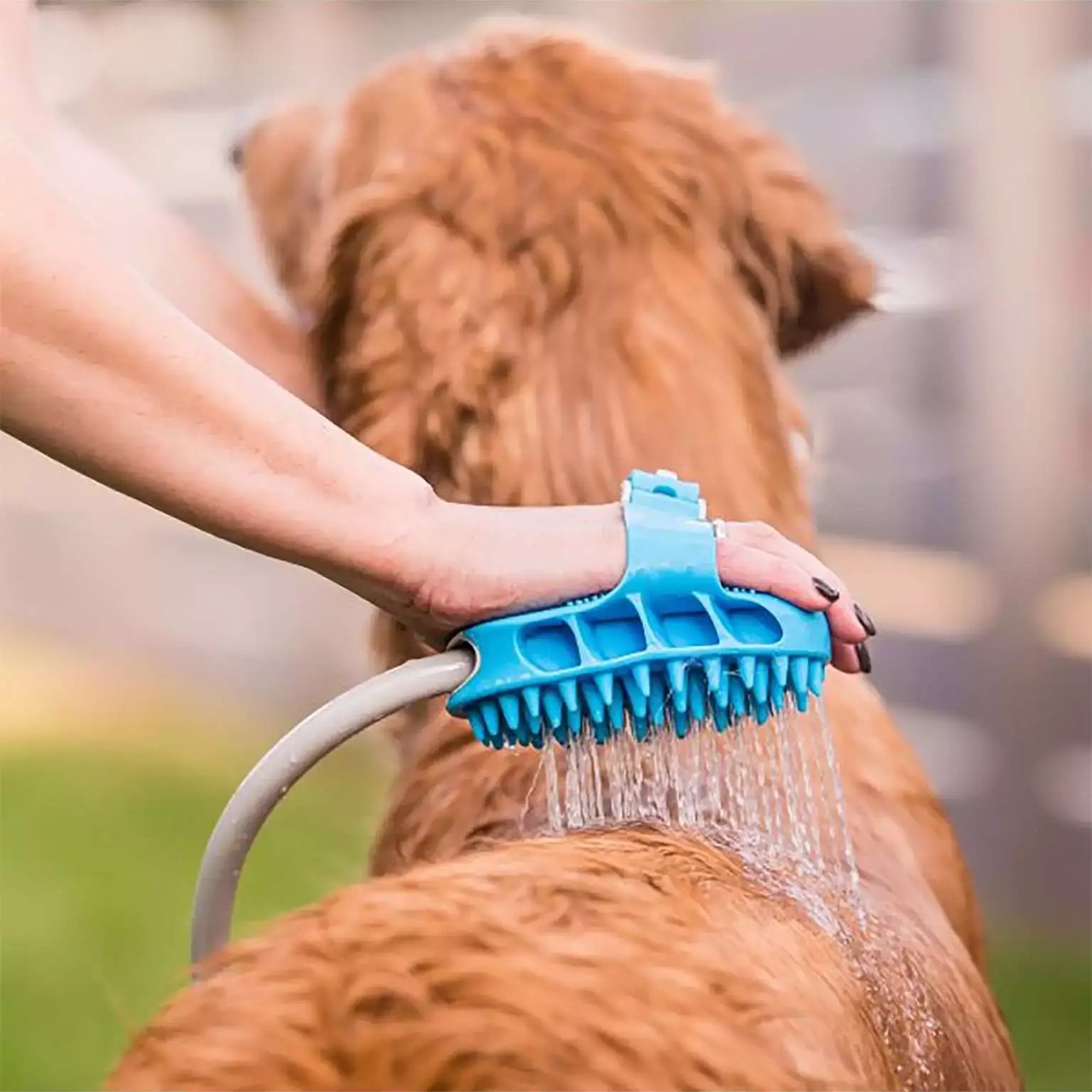 Include 2 connettori per collegarsi a una doccia o a un tubo da giardino.