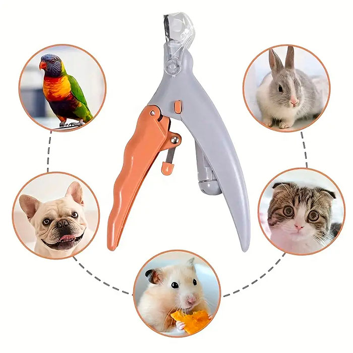 Il gadget ha una lente che avvicina l'unghia fino a 5 volte!