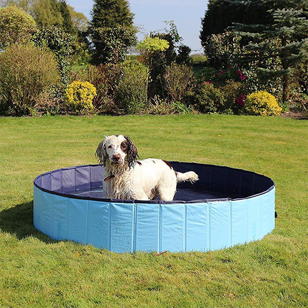 PawlyPool, piscina pieghevole per bambini e animali domestici - Image 2