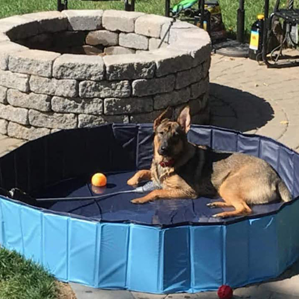 PawlyPool, piscina pieghevole per bambini e animali domestici - Image 3