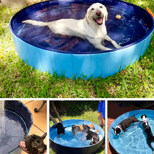 PawlyPool, piscina pieghevole per bambini e animali domestici - Image 5