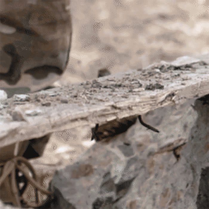 ProtectiveGloves, guanti protettivi tattici di alta qualità - video