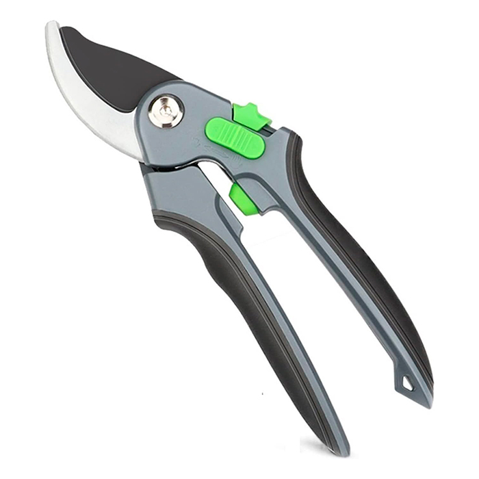Pruner