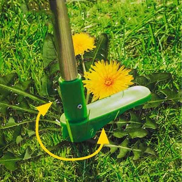 ROOTPULL, Rimuovi radici in acciaio inossidabile - Image 8