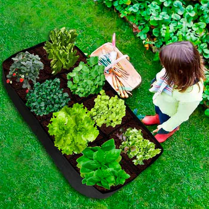 RaisedGarden, letto da giardino portatile con 8 scomparti separati - Image 5