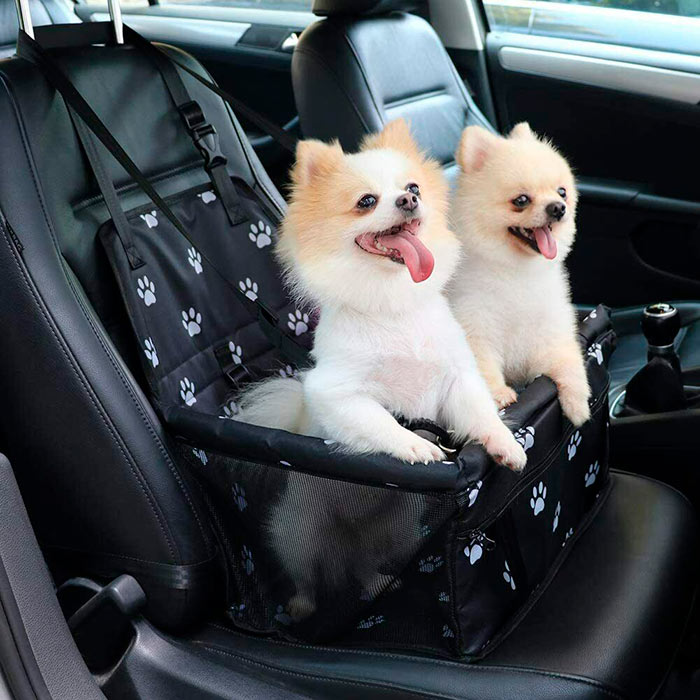 Seat4Dog, il seggiolino per auto per animali domestici - Image 3