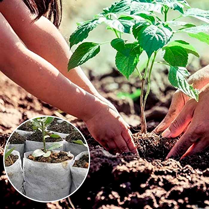 I sacchetti per la piantagione rendono il trapianto facile!