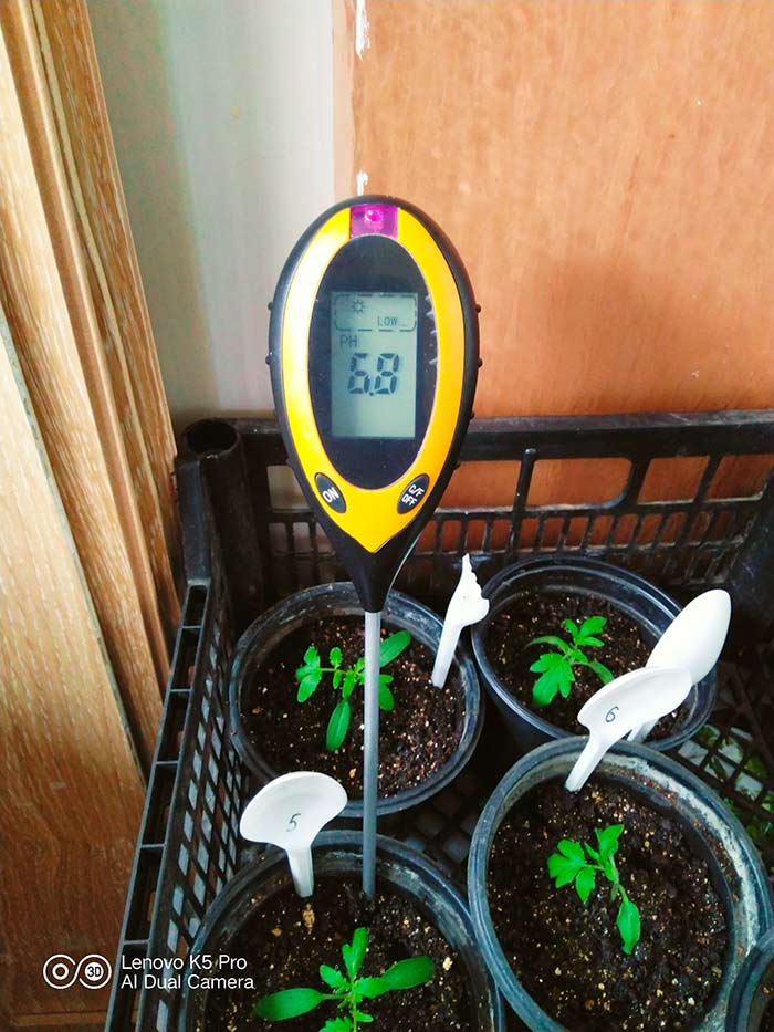 SoilMeter, tester del suolo 4in1 - Image 10