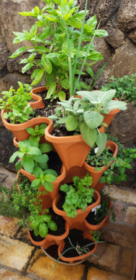 StandPots, vasi a gradini per tutti i tipi di piante (2 pz.) - Image 2